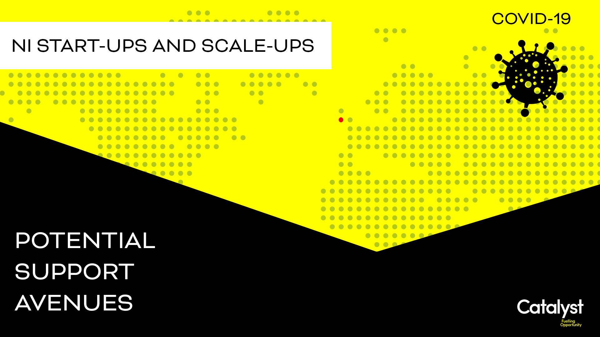 NI Start-Ups and Scale-Ups : COVID-19 Funding Schemes